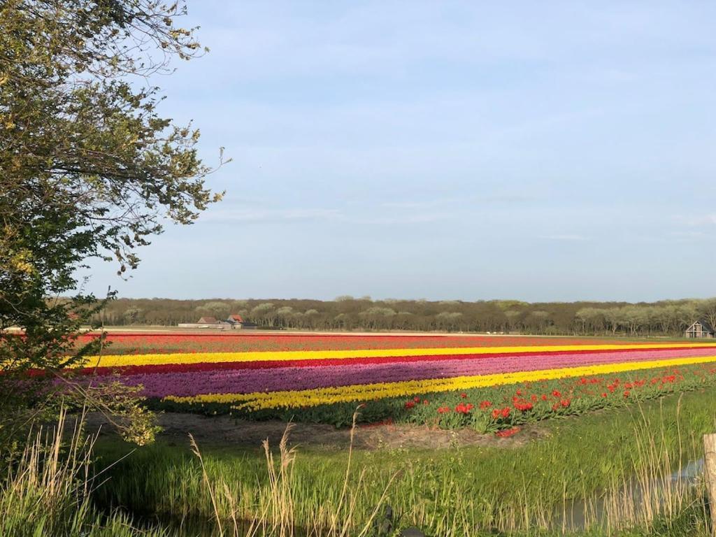 فيلا Meno Mosso Sint Maartensvlotbrug المظهر الخارجي الصورة